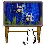 pic for akvarium  150x150